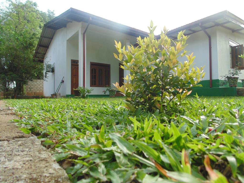 White Eagle Hotel Sigiriya Eksteriør bilde